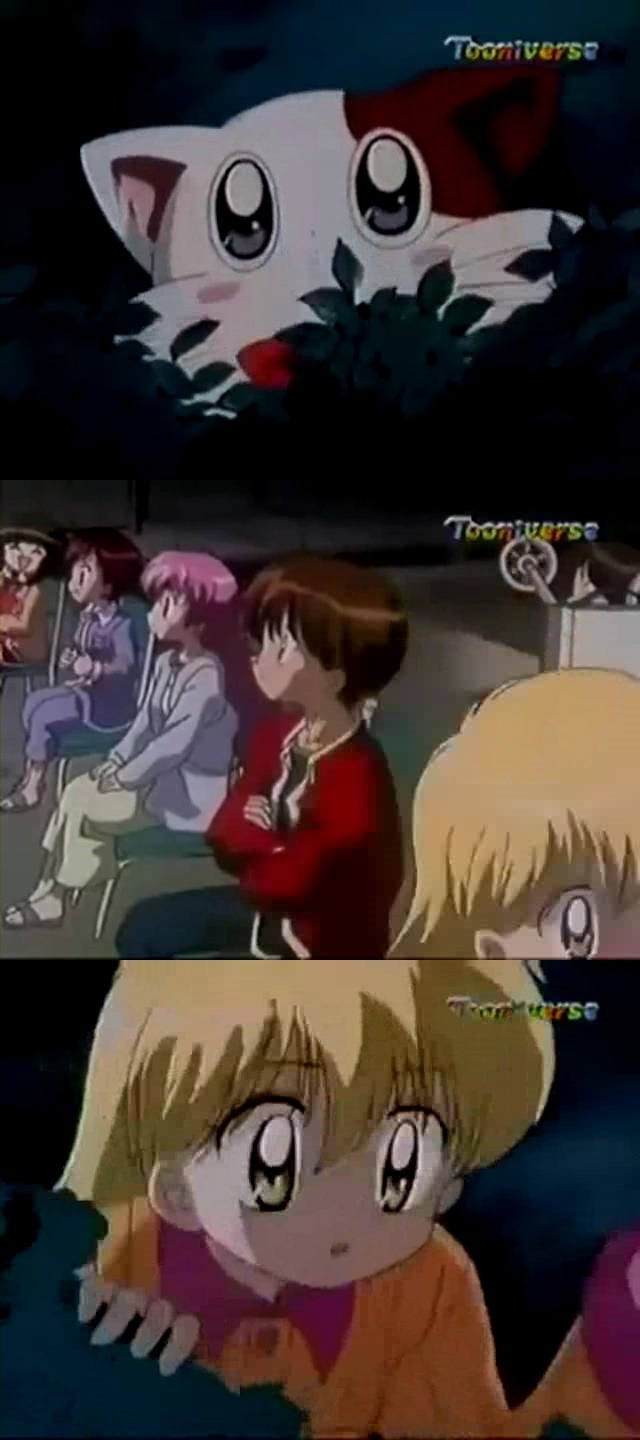 [다다다] 더이상 친구들을 속일 순 없어, 다 말할래! | 인스티즈