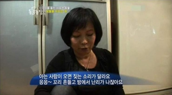 모텔 단골을 알아보는 멍멍이.jpg | 인스티즈