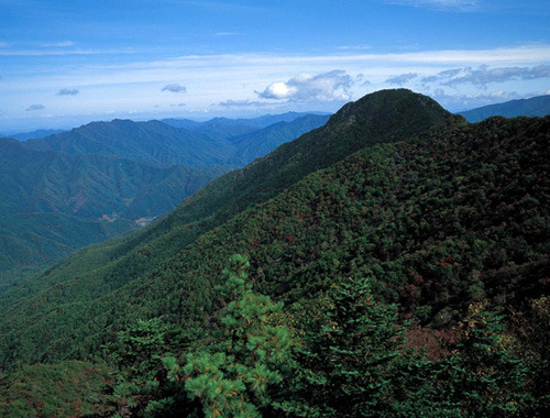 명지산 이미지