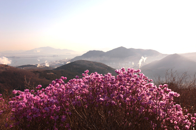 (주)산의 아침 이미지
