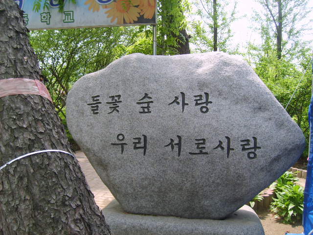 꽃향기속으로 이미지