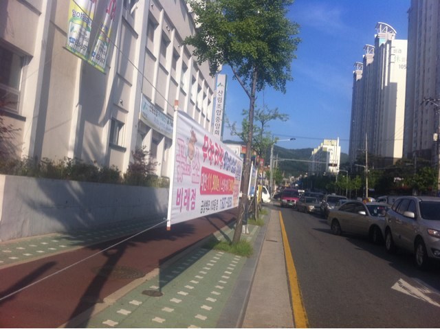 금성스토아 이미지
