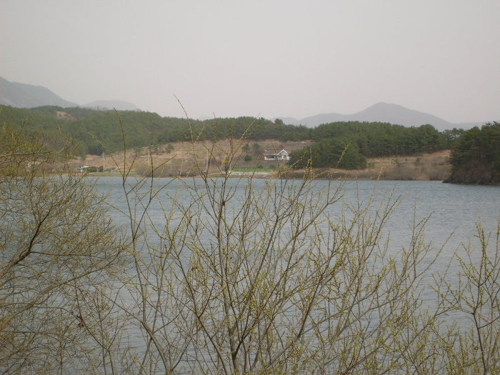 진짜순대 이미지