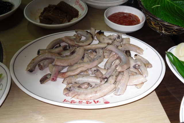 기장꼼장어 이미지