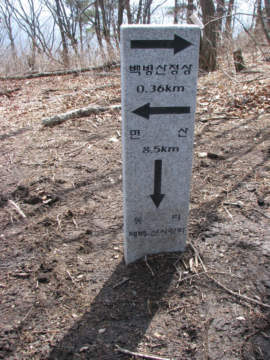 태백고원자연휴양림 이미지