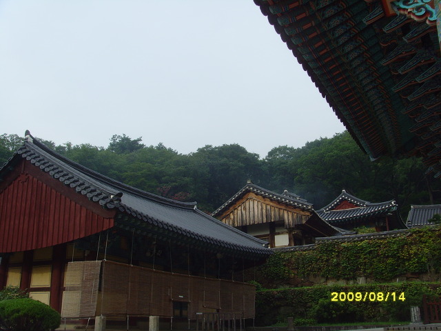 명성계육 이미지