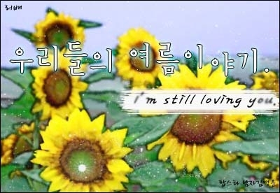 리배 이미지