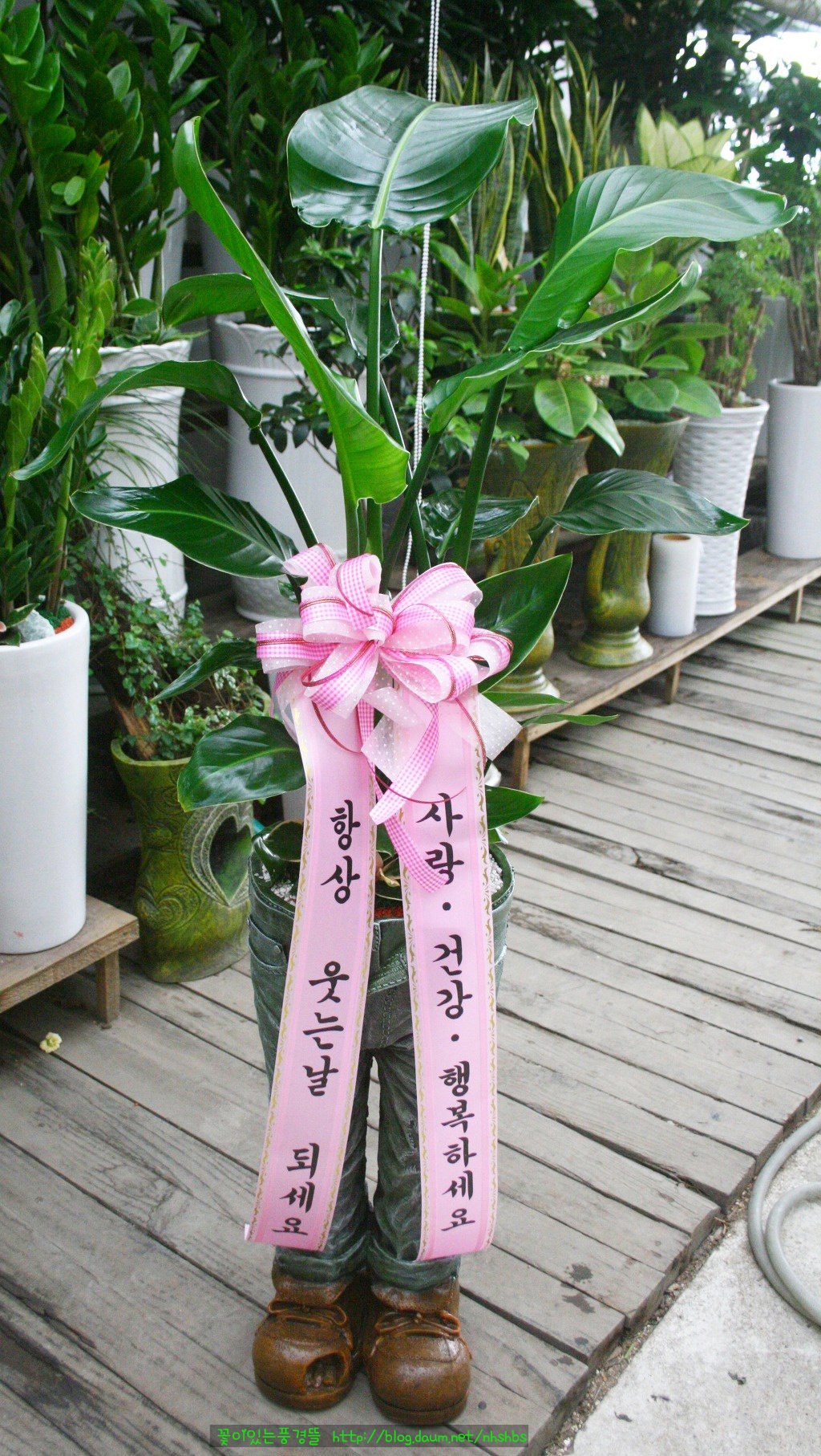 오프더데이지 이미지