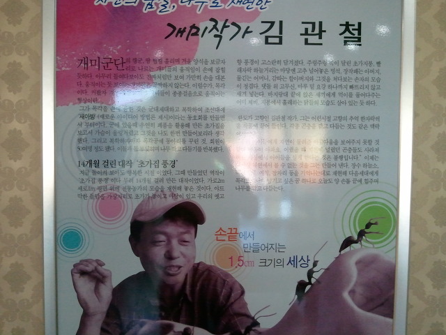 테마랜드 이미지