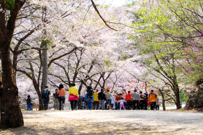 (주)강남고속관광 이미지