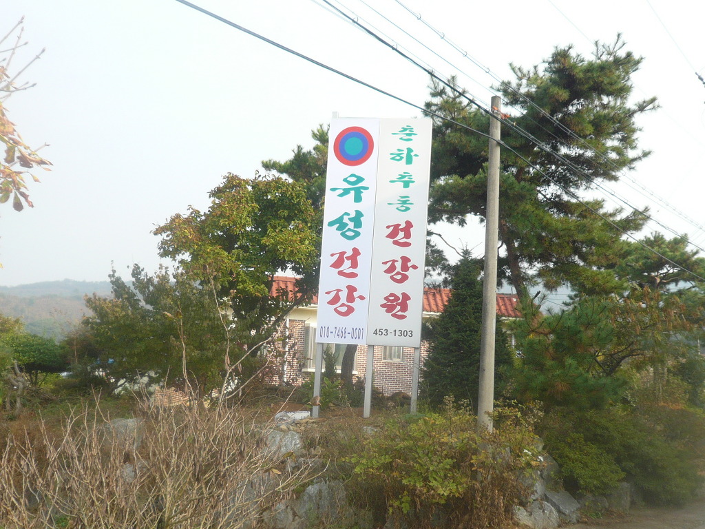 친환경대박 이미지