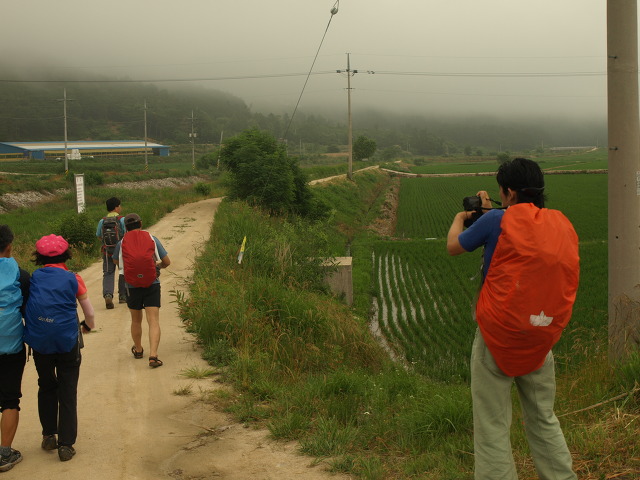 지리산흑도야지 이미지