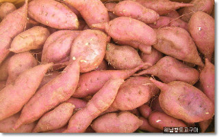 아산한빛의원 이미지