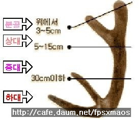 백두산렌트카 이미지