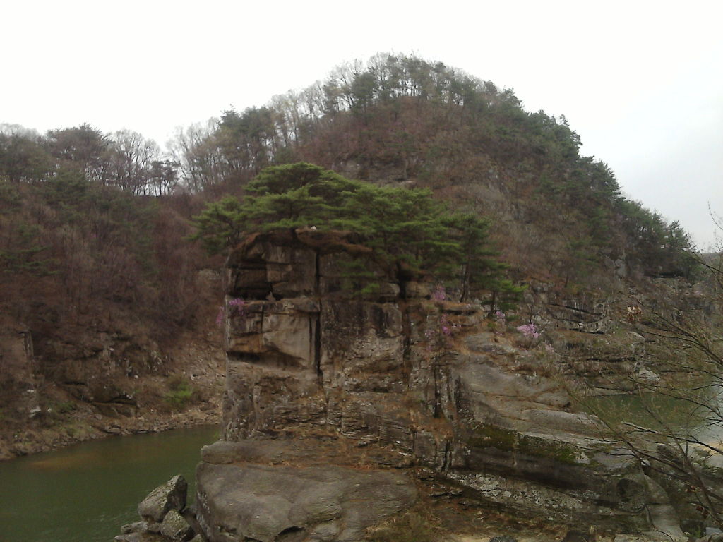 오늘카페 이미지