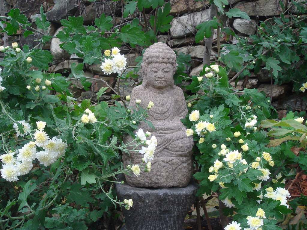 서래원 이미지