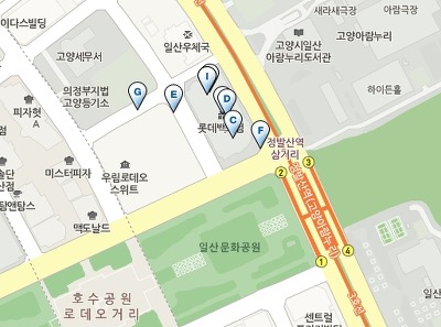 바른체형교정운동 이미지