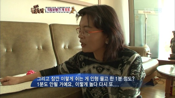 [동물농장] 지팡이 짚고 걷는 심봉사 개 또또라오 | 인스티즈