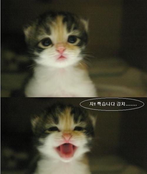 흠 이미지