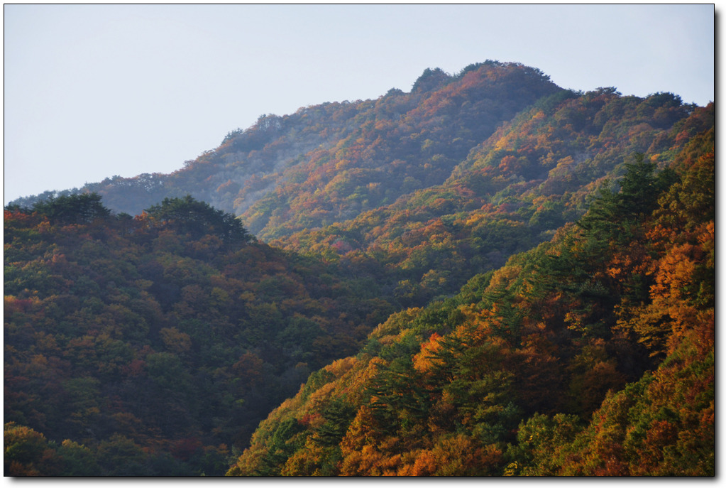 뱀사골산장 이미지