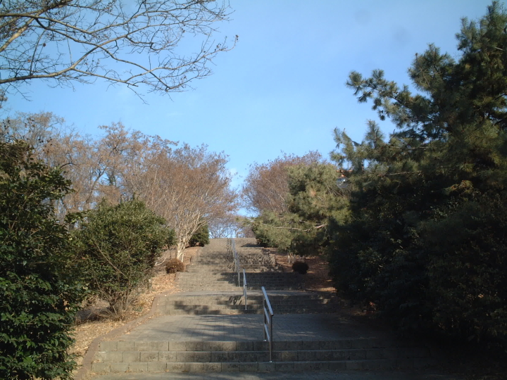 침산공원 이미지