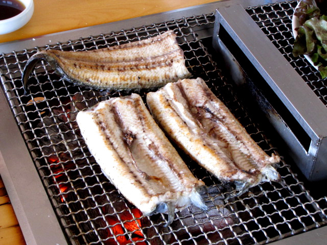 동림장어 이미지