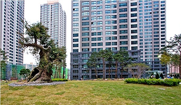 만물조경 이미지