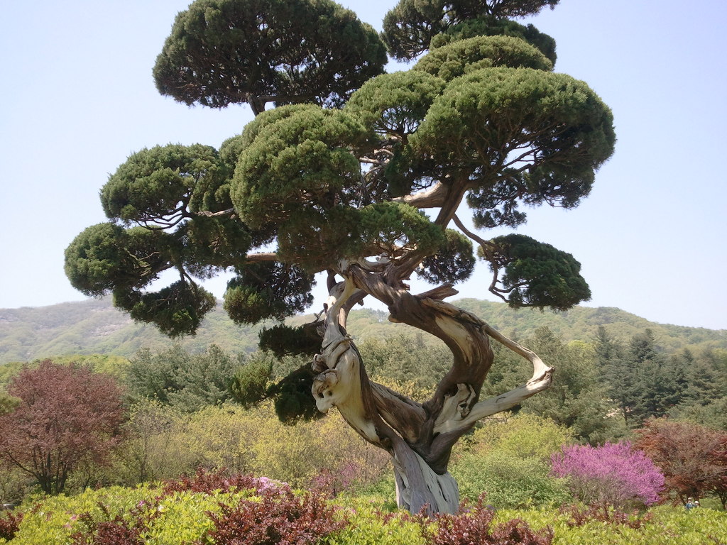 천연염색방 이미지