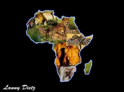 더블클릭을 하시면 이미지를 수정할 수 있습니다