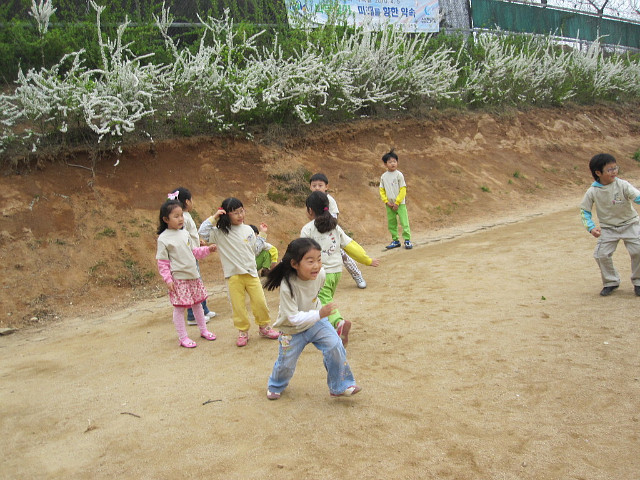 숲소리어린이집 이미지