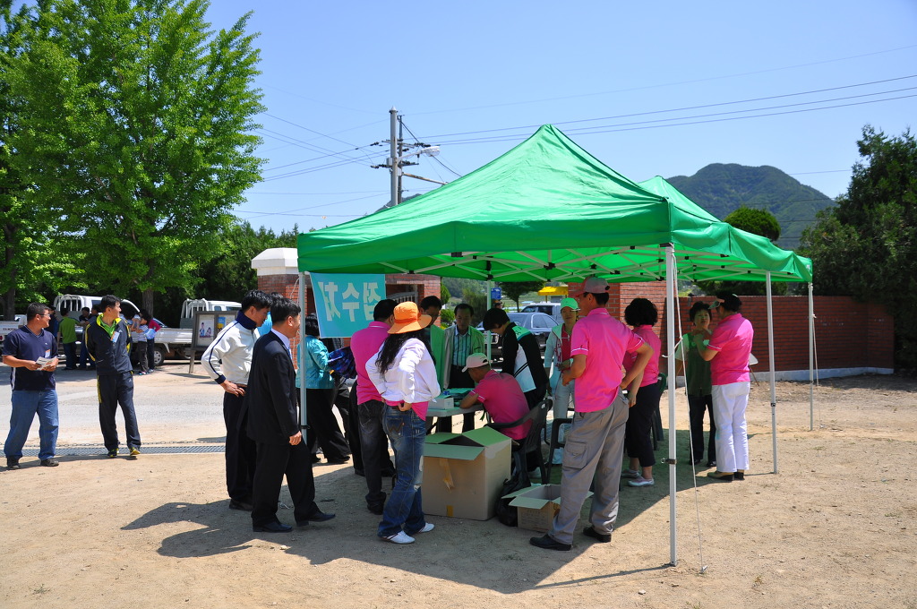 대성초등학교 이미지