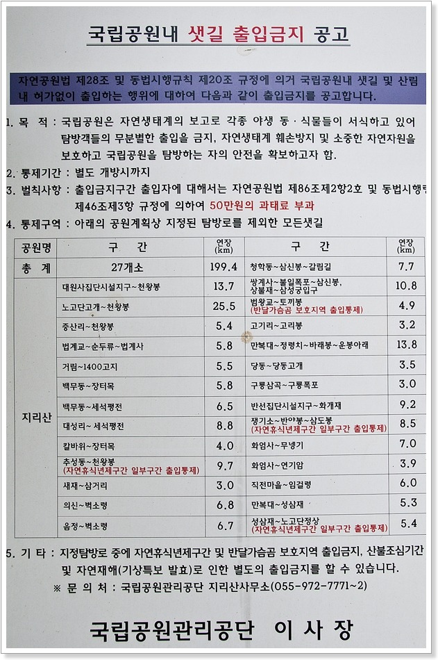 자연국수 이미지
