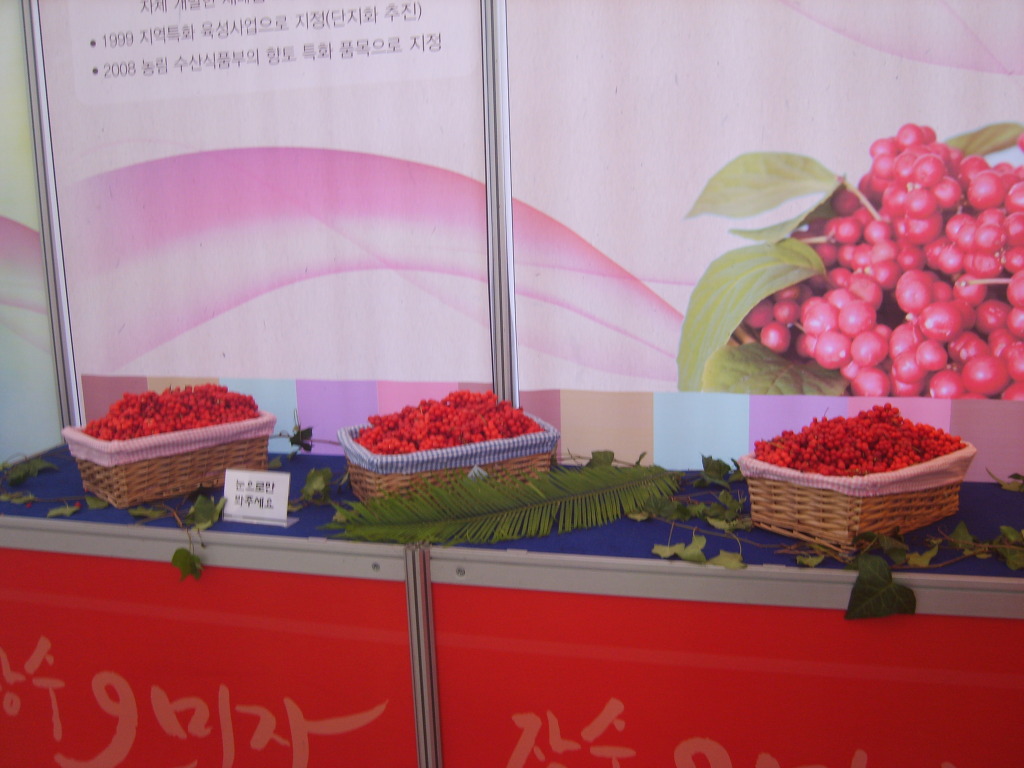 장수웰빙식품 이미지