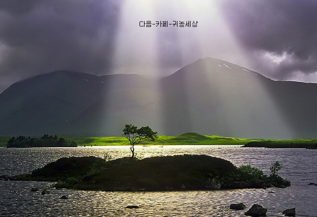 러브샵 이미지