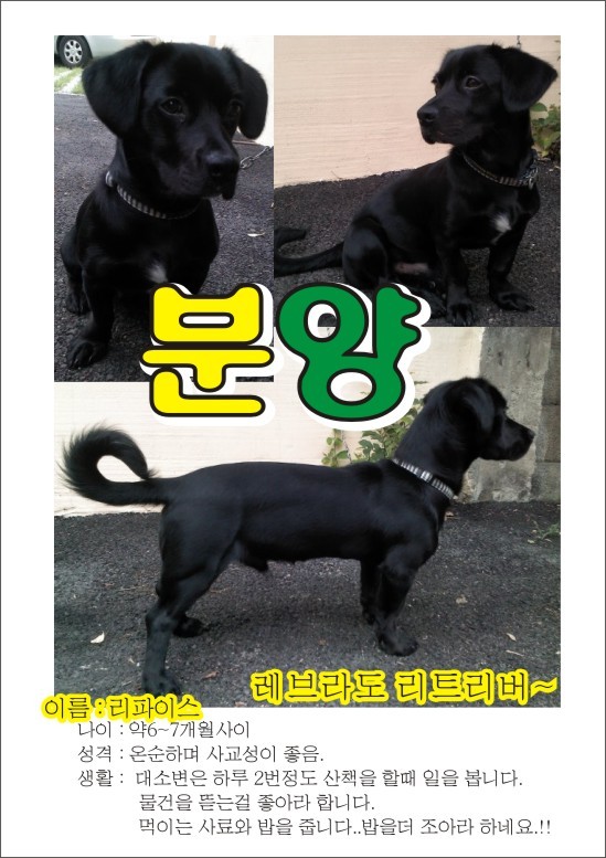 오삼삼칠 이미지