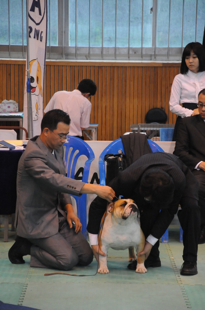 고양고등학교 이미지