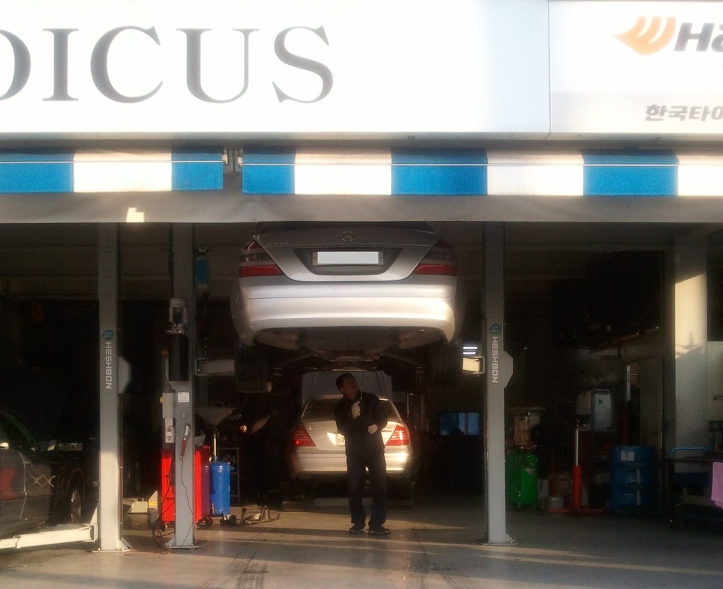 메디쿠스 이미지