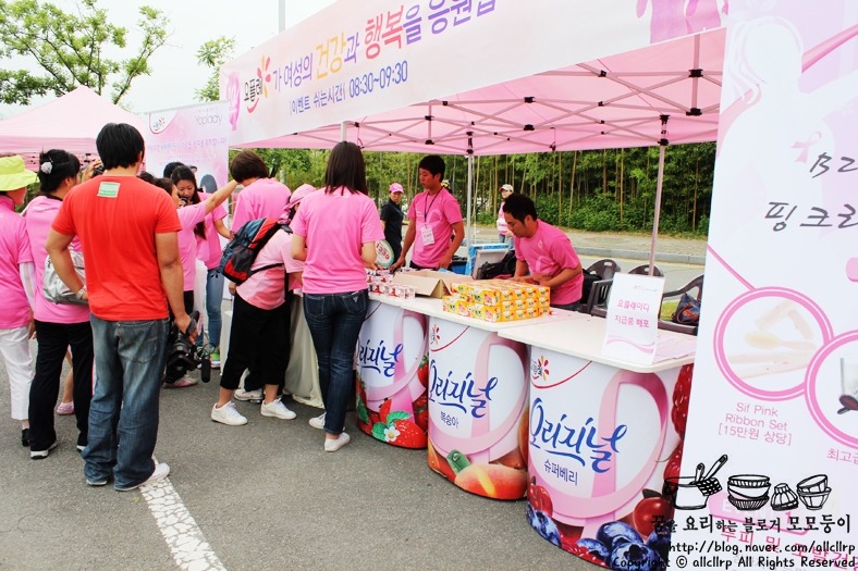 레이디 이미지