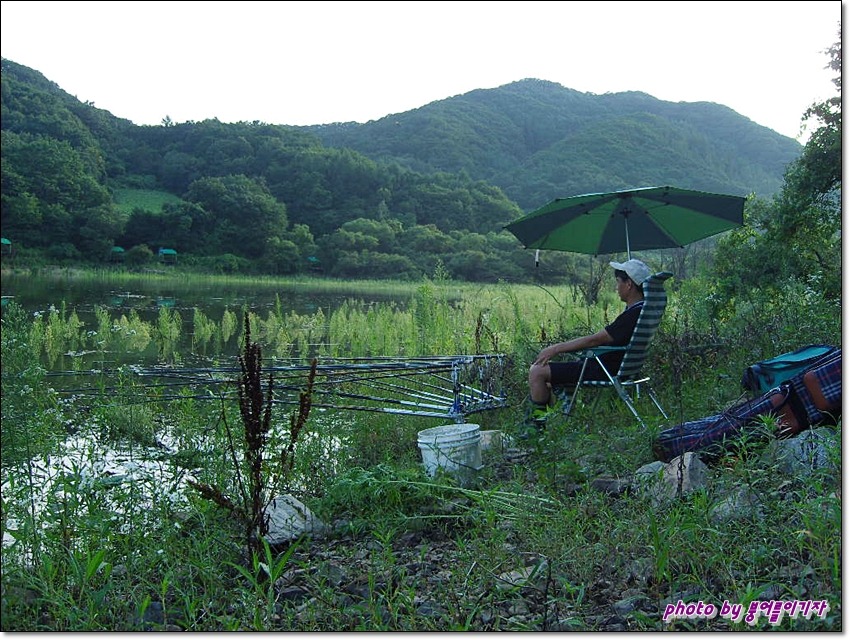 산천초목 이미지