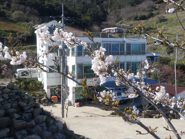 대국노래방 이미지