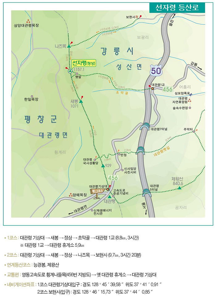 선 이미지