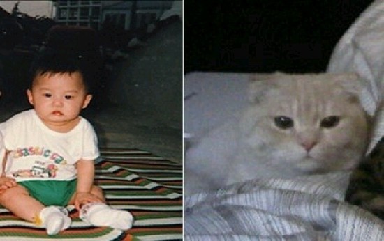 더레오 이미지