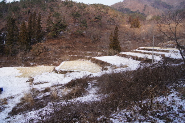 개마고원 이미지