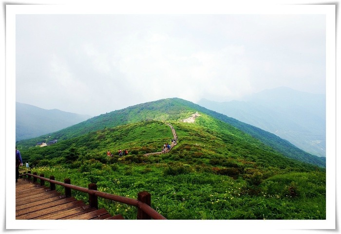 지리산추어탕 이미지