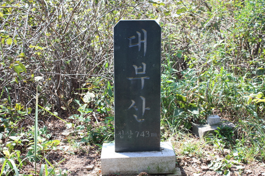 대부산 정상 이미지