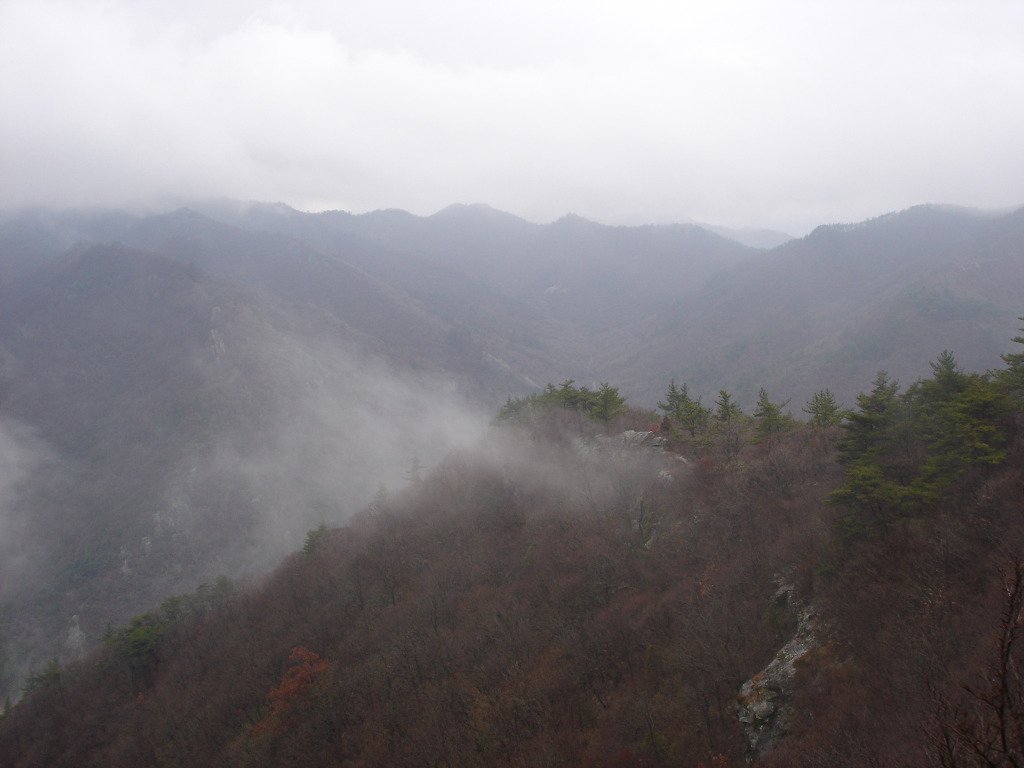 금강산농원 이미지
