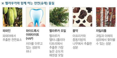 멜라루카인터내셔날코리아㈜ 이미지