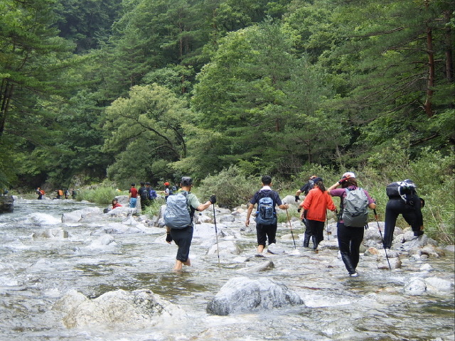 삼둔사가리 이미지