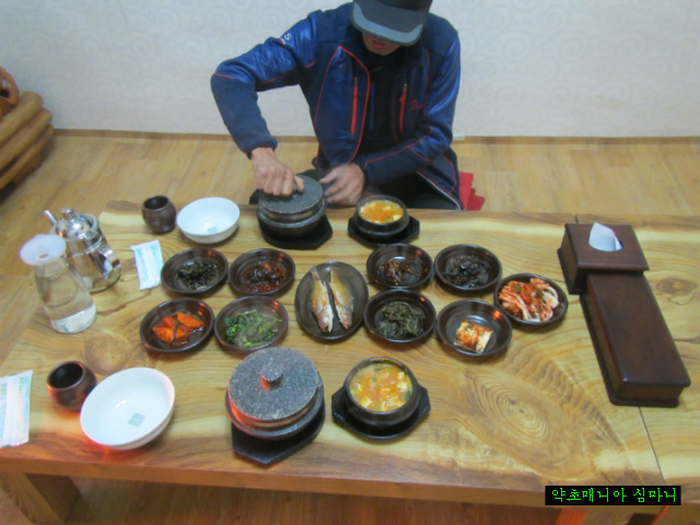 강원도와송 이미지