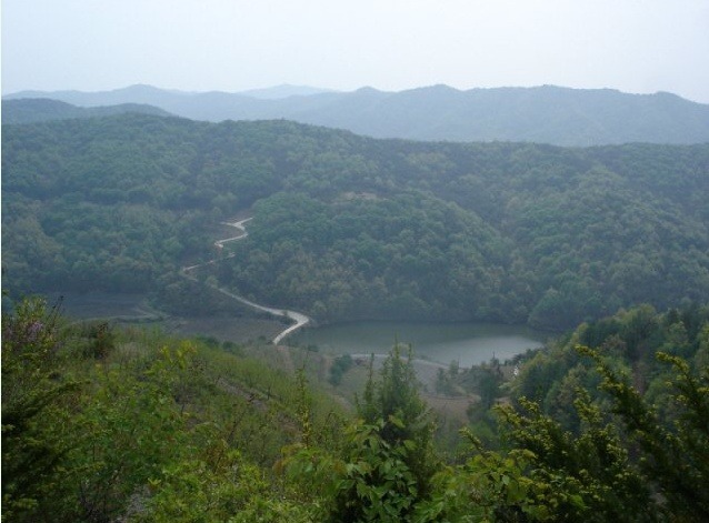 섭이네 이미지